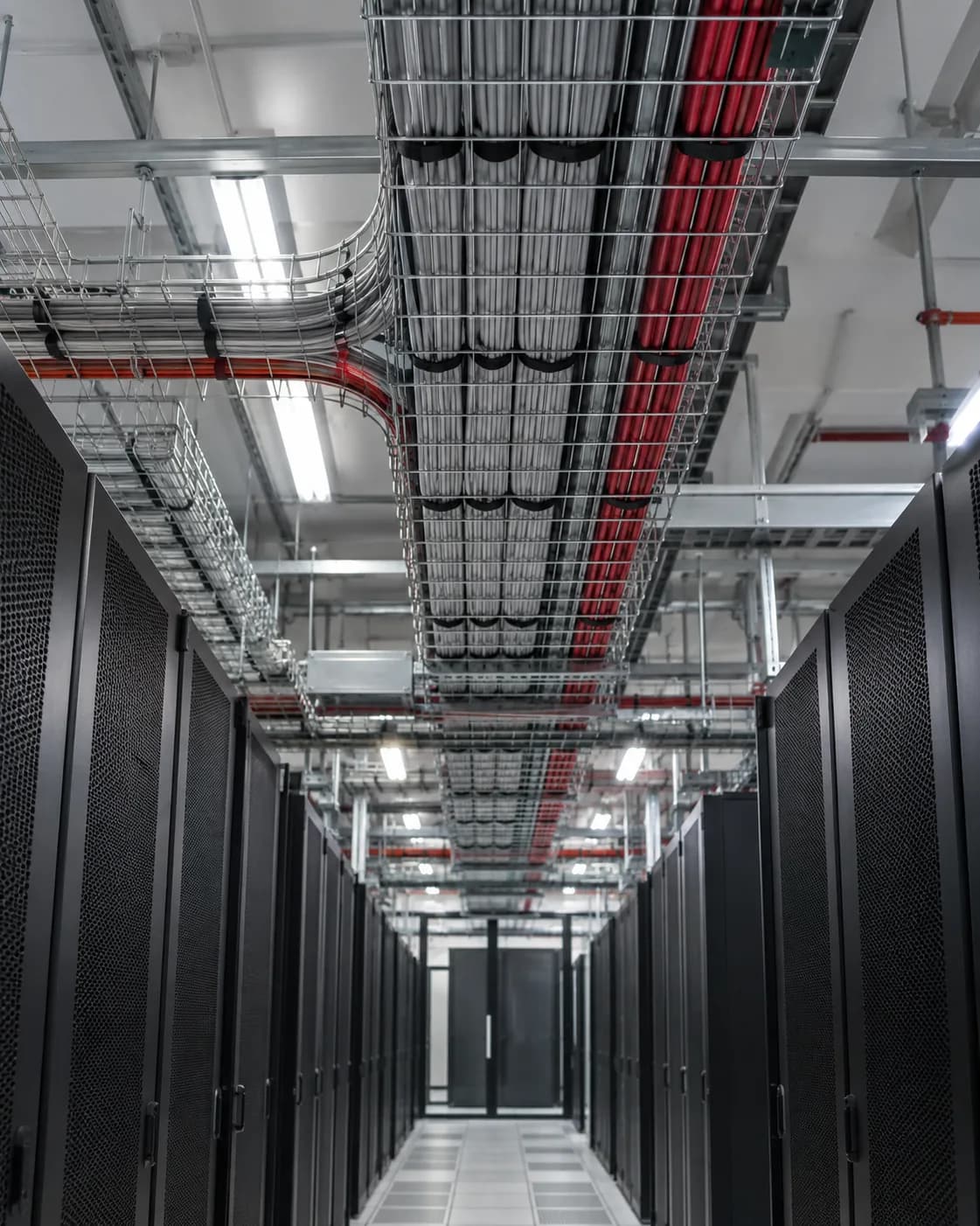 Cable trays running above a row of server racks.